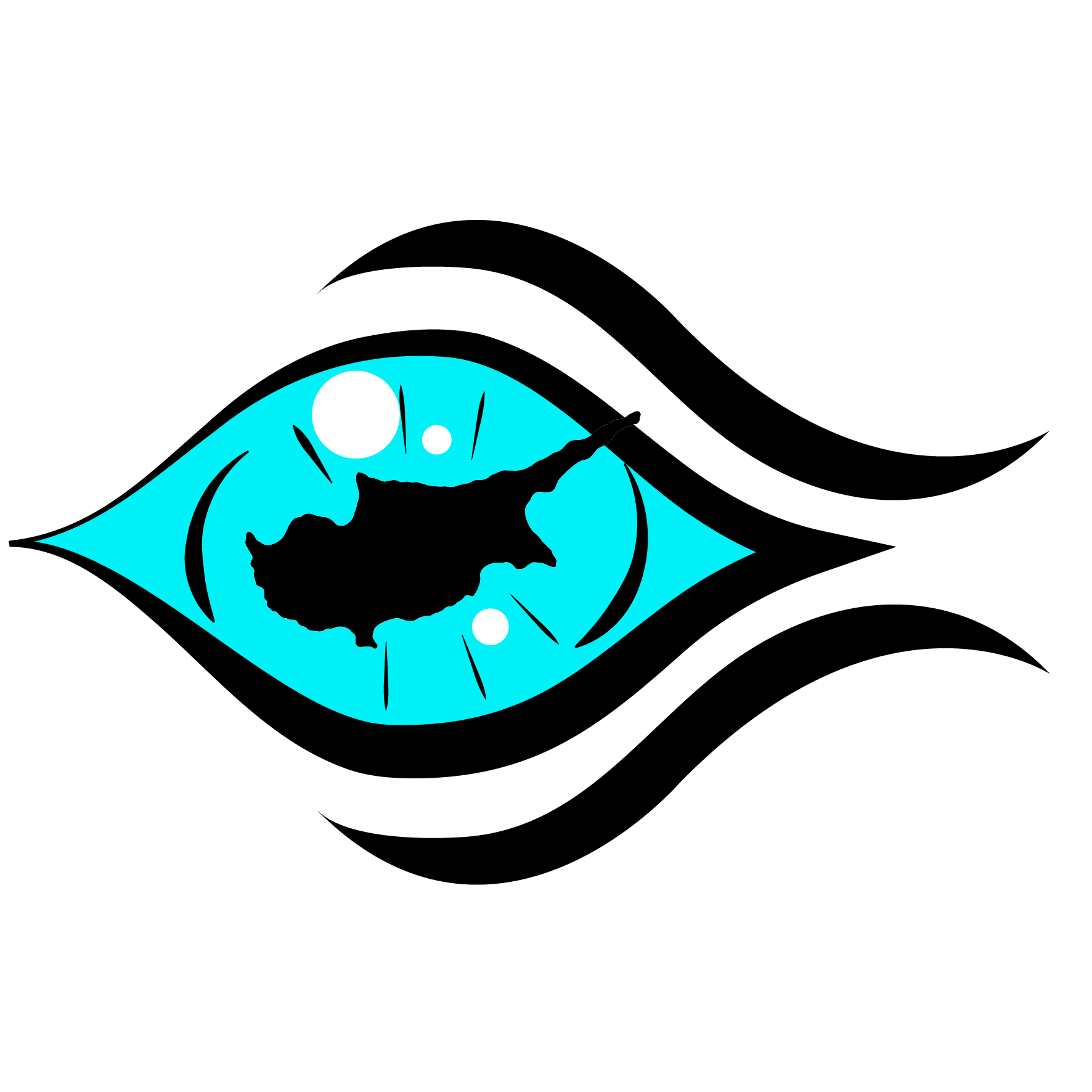 WakacjeCypr.com – logo żółwia z flagą Polski